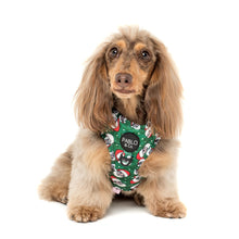Load image into Gallery viewer, Rad Santa: Adjustable Harness