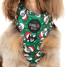 Load image into Gallery viewer, Rad Santa: Adjustable Harness
