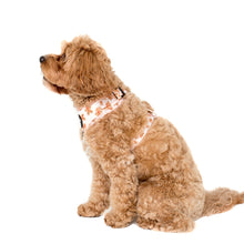Load image into Gallery viewer, The Gingerbread Man: Adjustable Harness