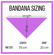 Load image into Gallery viewer, Hocus Pocus - Dog Bandana by Hey Bert