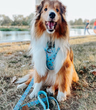 Load image into Gallery viewer, Adjustable Harness - Cute AF