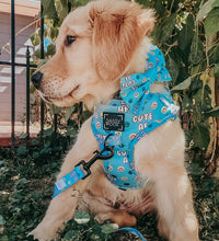 Load image into Gallery viewer, Adjustable Harness - Cute AF