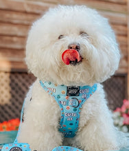 Load image into Gallery viewer, Adjustable Harness - Cute AF