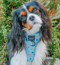 Load image into Gallery viewer, Adjustable Harness - Cute AF