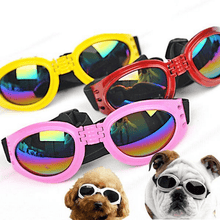 Load image into Gallery viewer, Doggles for Larger Breeds