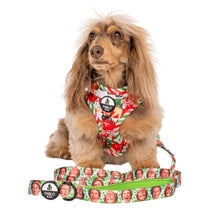 Load image into Gallery viewer, ELF - OMG! SANTA!: Dog Leash: 1.5cm
