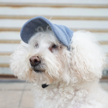Load image into Gallery viewer, Best selling Corduroy dog hat
