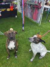 Load image into Gallery viewer, Dog Cow boy hat
