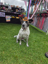 Load image into Gallery viewer, Dog Cow boy hat
