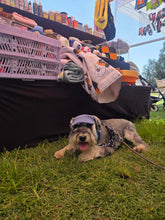 Load image into Gallery viewer, Best selling Corduroy dog hat

