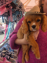 Load image into Gallery viewer, Dog Cow boy hat
