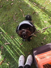 Load image into Gallery viewer, Best selling Corduroy dog hat
