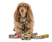 Load image into Gallery viewer, Dr. Seuss&#39; Who-Ville: Poop Bag Holder
