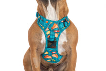 Load image into Gallery viewer, Big and Little Dogs - THE ALL-ROUNDER DOG HARNESS: Sausage Sizzle
