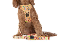 Load image into Gallery viewer, Big and Little Dogs - DOG POOP BAG HOLDER: Aussie Faves
