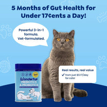 Load image into Gallery viewer, Wonderfur - Wonderfur Prebiotics &amp; Probiotics for dogs and cats 150g
