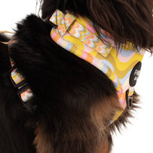 Load image into Gallery viewer, Pablo &amp; Co. Boutique - Boho Waves: Adjustable Dog Harness
