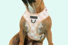Load image into Gallery viewer, ADJUSTABLE DOG HARNESS: LATTE GINGHAM
