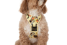 Load image into Gallery viewer, THE ALL-ROUNDER DOG HARNESS: PUPEMITE
