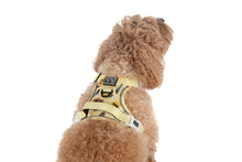 Load image into Gallery viewer, THE ALL-ROUNDER DOG HARNESS: PUPEMITE
