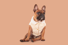 Load image into Gallery viewer, CORDUROY DOG VEST: SAND
