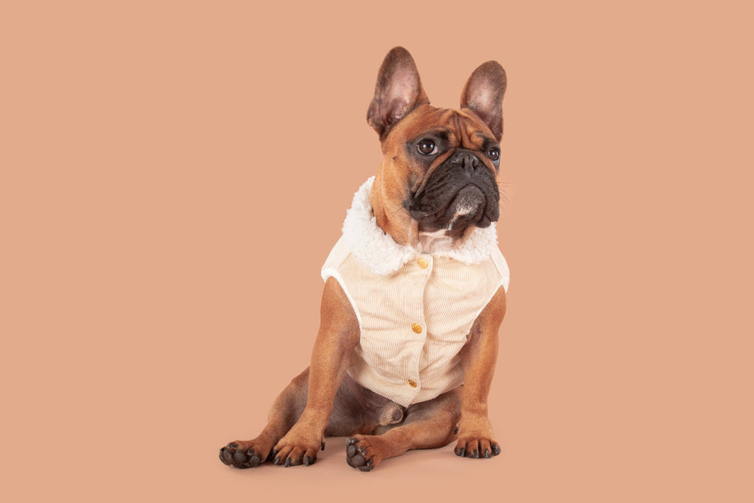 CORDUROY DOG VEST: SAND