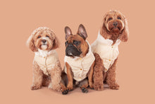 Load image into Gallery viewer, CORDUROY DOG VEST: SAND
