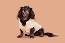 Load image into Gallery viewer, CORDUROY DOG VEST: SAND
