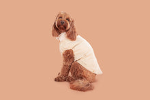Load image into Gallery viewer, CORDUROY DOG VEST: SAND
