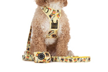 Load image into Gallery viewer, DOG POOP BAG HOLDER: PUPEMITE
