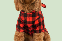 Load image into Gallery viewer, DOG RAINCOAT: BUFFALO PLAID
