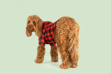Load image into Gallery viewer, DOG RAINCOAT: BUFFALO PLAID
