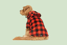 Load image into Gallery viewer, DOG RAINCOAT: BUFFALO PLAID

