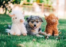 Load image into Gallery viewer, Highland Cows
