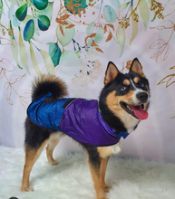 Load image into Gallery viewer, Reign Dog - Make it Reign - Dog Raincoat

