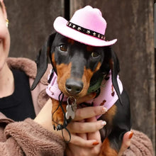 Load image into Gallery viewer, Dog Cow boy hat

