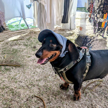 Load image into Gallery viewer, Best selling Corduroy dog hat
