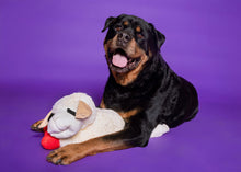 Load image into Gallery viewer, Lamb Chop
