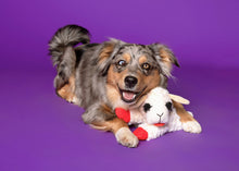 Load image into Gallery viewer, Lamb Chop
