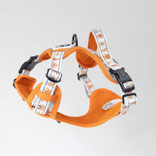 Load image into Gallery viewer, Comfort Explorer Harness: ORANGE MONSTERS
