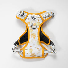 Load image into Gallery viewer, Comfort Explorer Harness: HONEY
