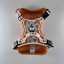 Load image into Gallery viewer, Comfort Explorer Harness: ORANGE MONSTERS
