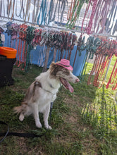 Load image into Gallery viewer, Dog Cow boy hat
