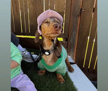 Load image into Gallery viewer, Best selling Corduroy dog hat
