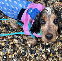 Load image into Gallery viewer, Reign Dog - Speed Of Light - Dog Raincoat
