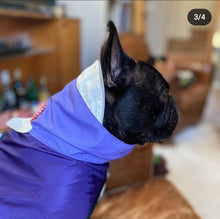 Load image into Gallery viewer, Reign Dog - Make it Reign - Dog Raincoat
