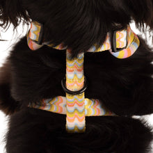 Load image into Gallery viewer, Pablo &amp; Co. Boutique - Boho Waves: Adjustable Dog Harness
