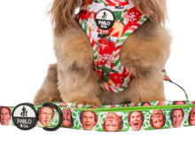 Load image into Gallery viewer, ELF - OMG! SANTA!: Dog Leash: 1.5cm

