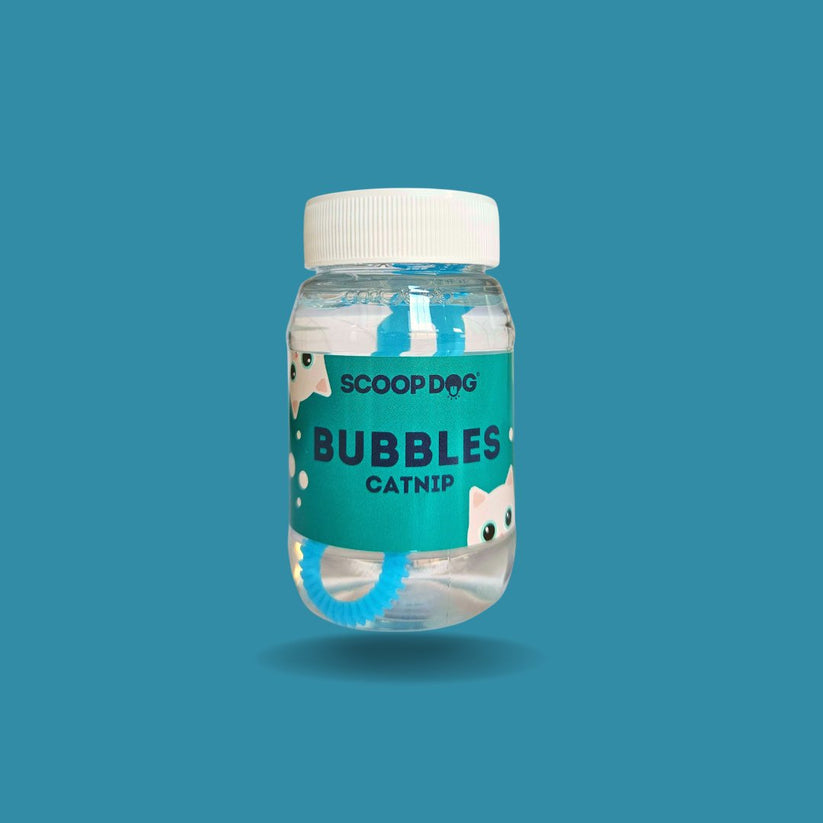 Cat Bubbles - Catnip