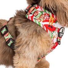 Load image into Gallery viewer, ELF - OMG! SANTA!: Adjustable Harness
